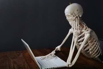 skelett am computer
