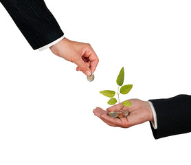 Investing to green business