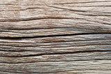 Fototapeta Dmuchawce - wood texture background