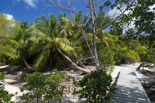 Fotografía Chemin de promenade sur l'île Curieuse aux Seychelles