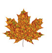 Stilisiertes Herbst Ahornblatt