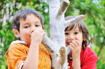 Wall Mural - Little children on a tree