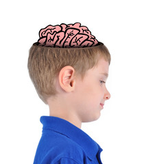 Wall Mural - smart education brain boy