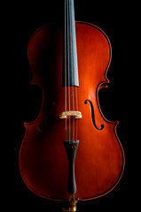 Wall Mural - Violin in dark room  - music concept