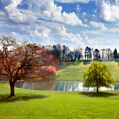 Wall Mural - Spring Park. Lake in the spring park.