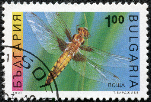 Poster stamp shows the insect, Four-spotted Chaser