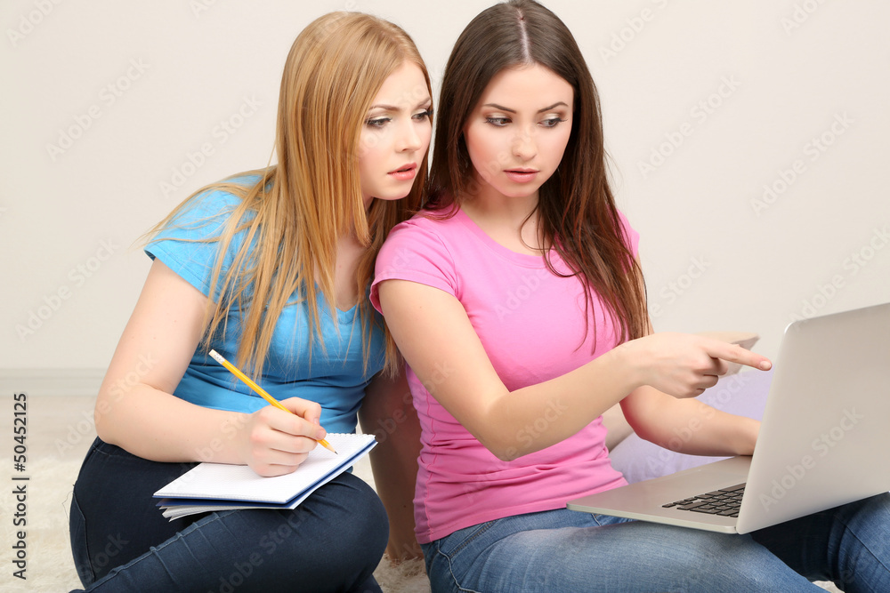 Two girl friends with with laptop on room