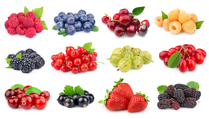 Poster - Set of berry