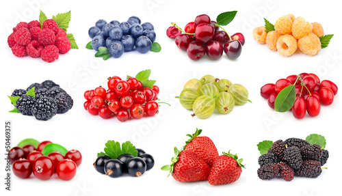 Naklejka dekoracyjna Set of berry