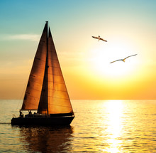 Yacht Sailing Against Sunset With Seagulls