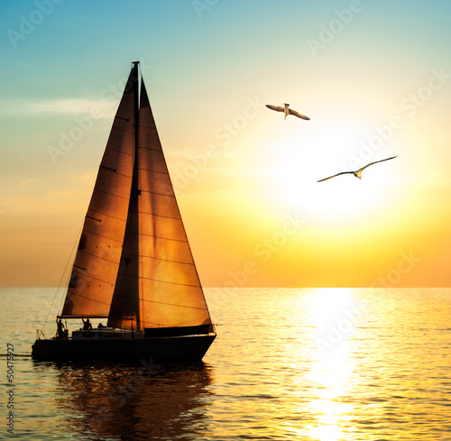 Foto-Doppelrollo - Yacht sailing against sunset with seagulls (von Repina Valeriya)