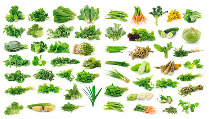 Wall Mural - Vegetables collection isolated on white background