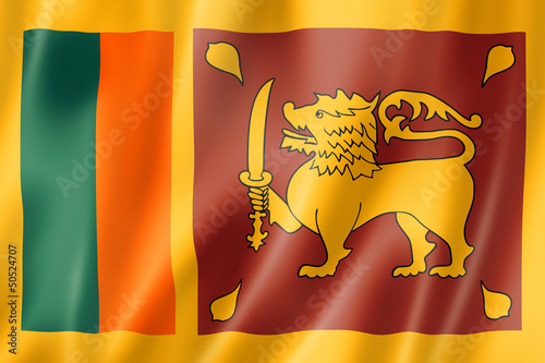 Obraz w ramie Sri Lanka flag