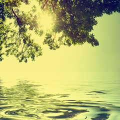 Wall Mural - Nature background