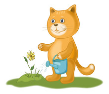 Cat Watering A Flower