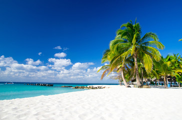 Canvas Print - tropical beach