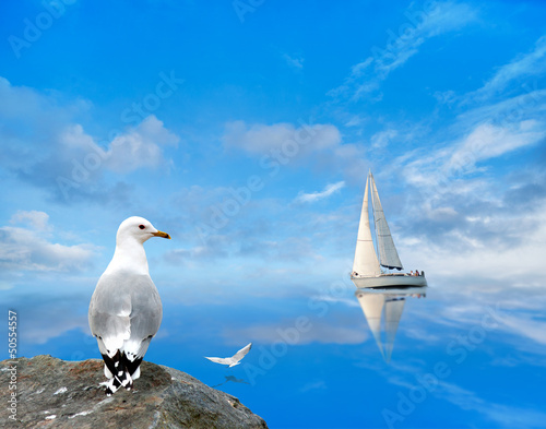 Foto-Doppelrollo - seagull watching a yacht (von Pink Badger)