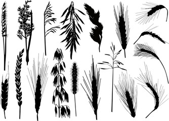 Wall Mural - cereal black silhouettes collection isolated on white