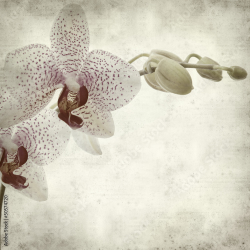 retro-tlo-w-szarych-odcieniach-z-kwiatami-orchidei