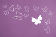 Background of white silhouettes butterflies flying