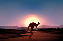 A Sunset At The Desert With A Kangaroo