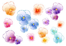 Colorful Pansies, Vector Set