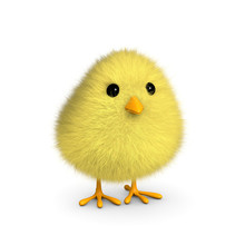 Fluffy Yellow Chick