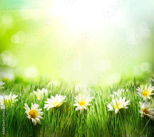 Nowoczesny obraz na płótnie Spring Meadow with Daisies. Grass and Flowers border