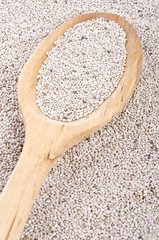 Wall Mural - Chia Seeds in a Wooden Spoon