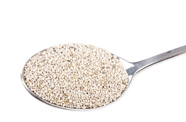 Sticker - Spoonful of Chia Seeds