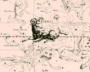 Wall Mural - constellation vintage map
