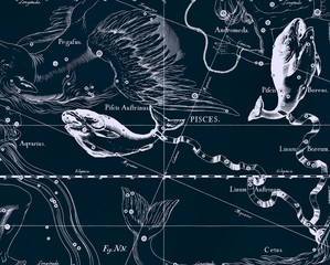 Wall Mural - constellation vintage map