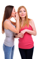 Two girl friends gossip isolated on white