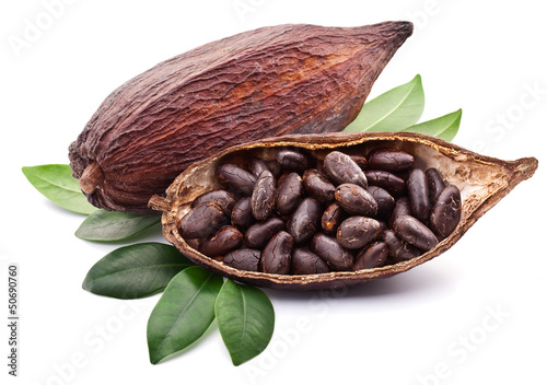 Tapeta ścienna na wymiar Cocoa pod