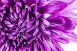 160_f_50707762_o6vsxup9o9bdg6x3hurrtapo705nitjm