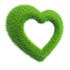 Wall Mural - heart of green grass