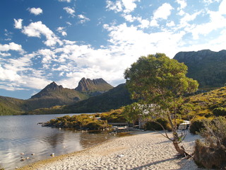 Sticker - Cradle Mountain in Cradle Mountain - Lake St Clair National Park