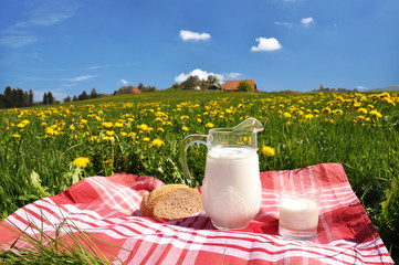 Wall Mural - Jug of milk and bread on the spring meadow. Emmental region, Swi