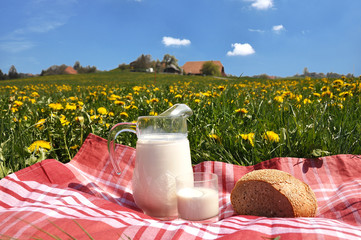 Wall Mural - Jug of milk and bread on the spring meadow. Emmental region, Swi