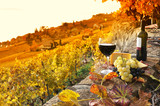 Fototapeta Most - Glass of red wine on the terrace vineyard in Lavaux region, Swit