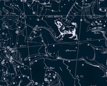 Constellation Vintage Map