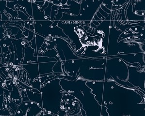 Wall Mural - Constellation vintage map