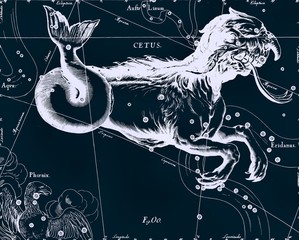 Wall Mural - constellation vintage map