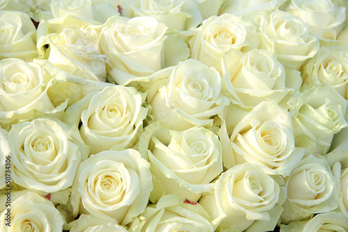 Obraz w ramie Group of white roses, wedding decorations