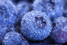 Wet Fresh Blueberries Berries