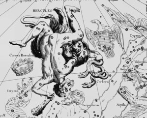 Wall Mural - constellation vintage map