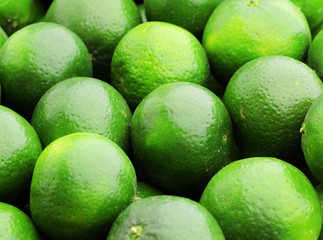 Poster - lime citrus fruit