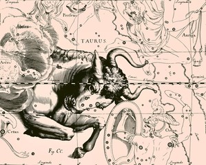 Wall Mural - constellation vintage map