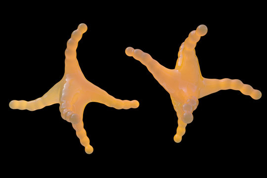 Histamin - 3D Render