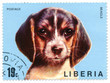 Postage stamp with dog from Liberia - circa 1972